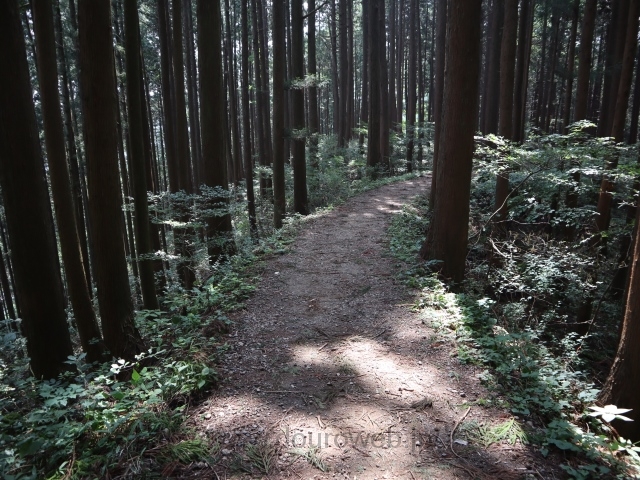 御岳山から日の出山の写真
