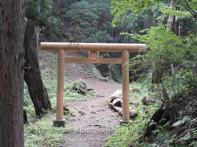 御岳山から日の出山の写真