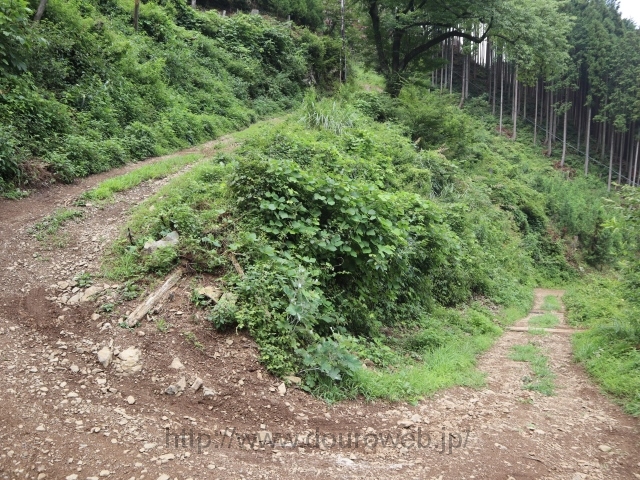 日の出山の写真