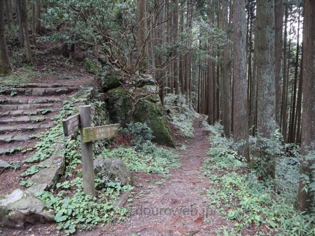 日の出山の写真