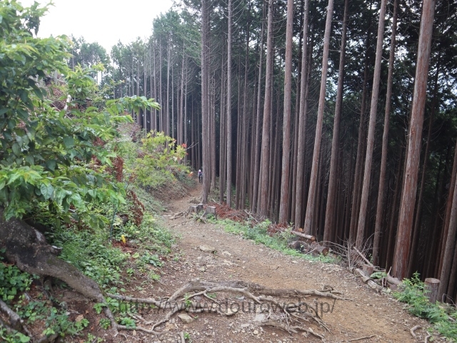 日の出山の写真