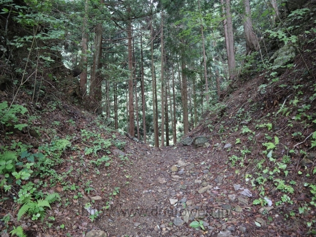 奥多摩あきる野線点線区間の写真