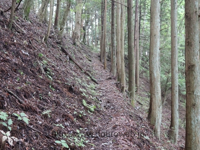 奥多摩あきる野線点線区間の写真