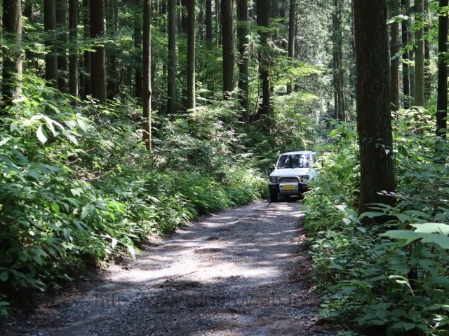 日の出山~上養沢の写真