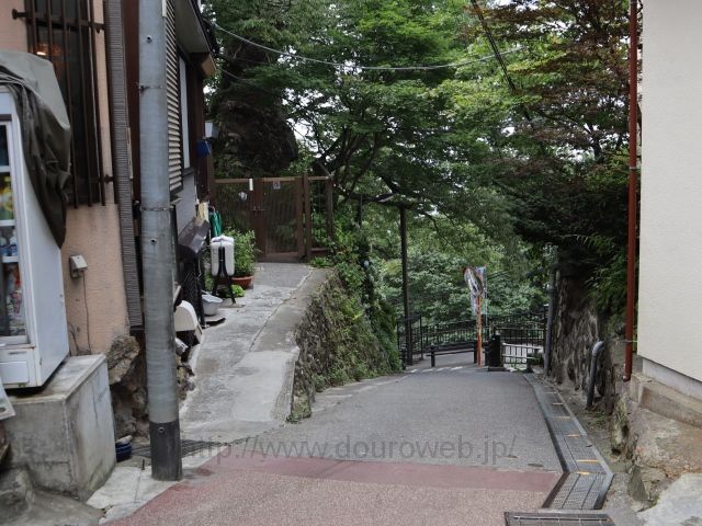 神代のケヤキ説明~武蔵御嶽神社の写真