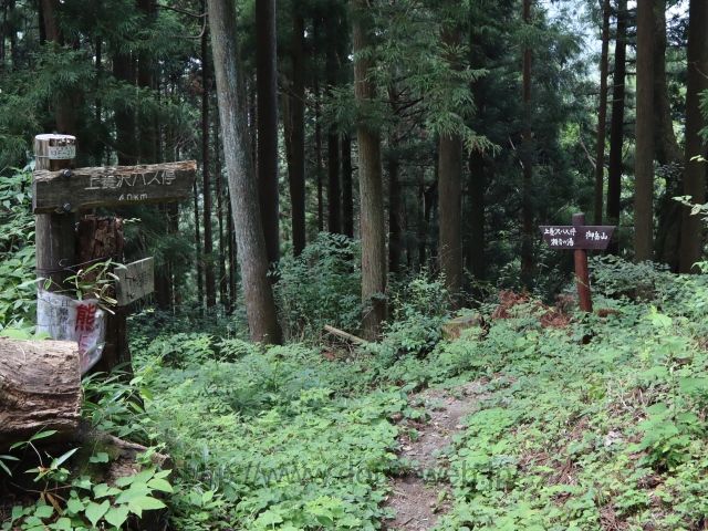 日の出山~上養沢の写真