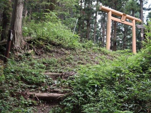 日の出山~上養沢の写真