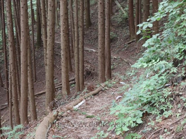 日の出山~上養沢の写真