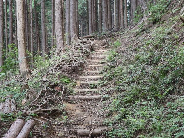 日の出山~上養沢の写真