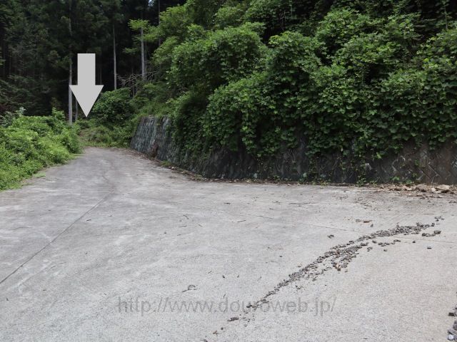 日の出山~上養沢の写真