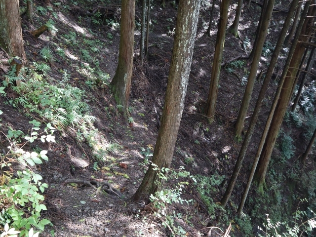 奥多摩側自動車通行不能区間の写真