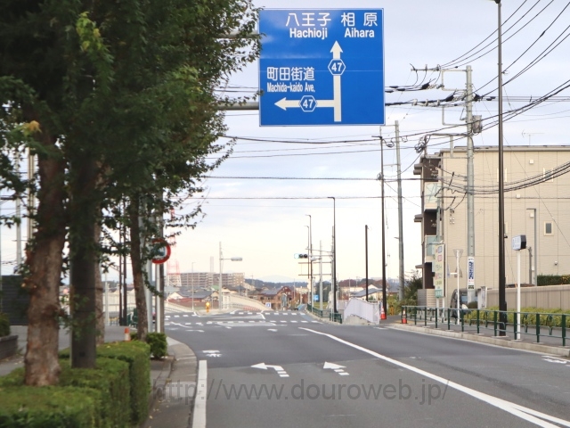 ���c�s���a�@�̑O�̌����_�̎ʐ^