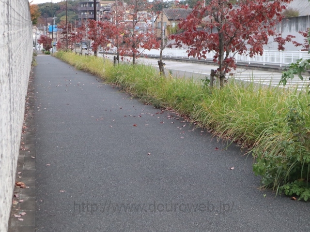 ���Ɓi�����j�̎ʐ^