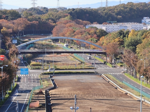 ���������������_�̎ʐ^