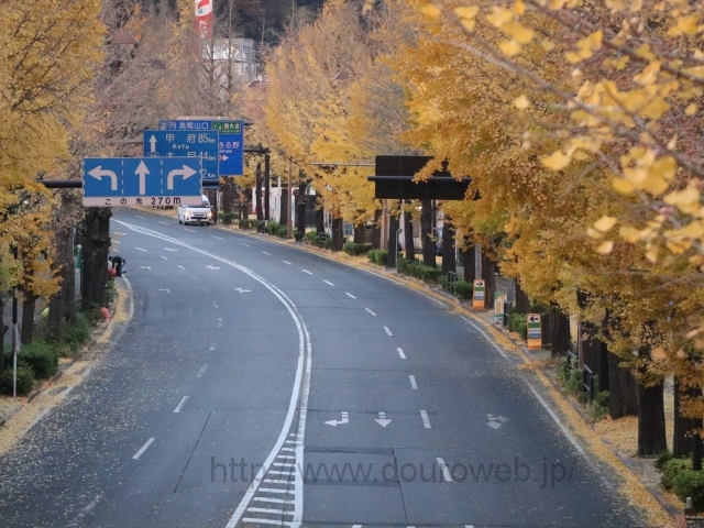 ���c�X�����������_�̎ʐ^