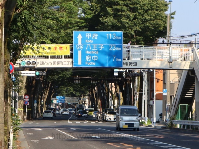 狛江通りの先、八雲台二丁目交差点の写真