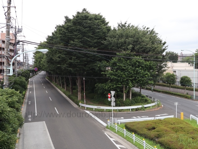 武蔵野大学前交差点の写真