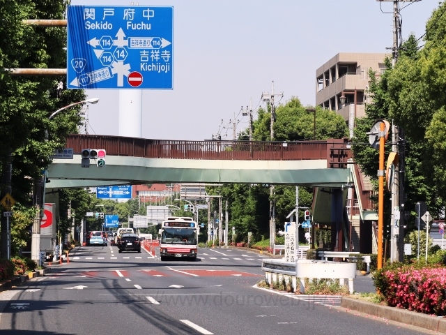 新川交番前交差点の写真