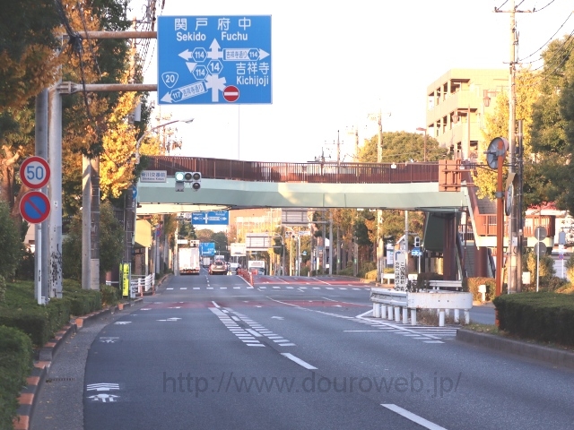 �V���ԑO�����_�̎ʐ^