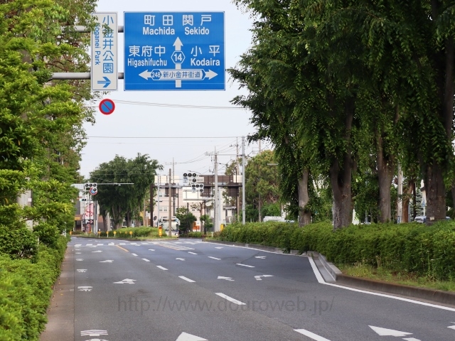 小金井南中西交差点の写真