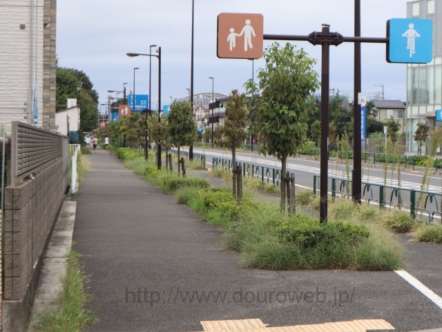 ���Ɓi������I���j�̎ʐ^