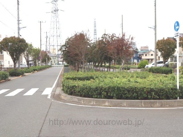 �V�ܓ��s�X�����������I�_�i��������p��j�̎ʐ^