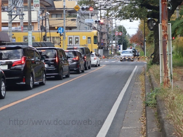 ���������ΐ����؂̎ʐ^