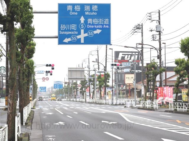 �O�{�|�����_�̎ʐ^