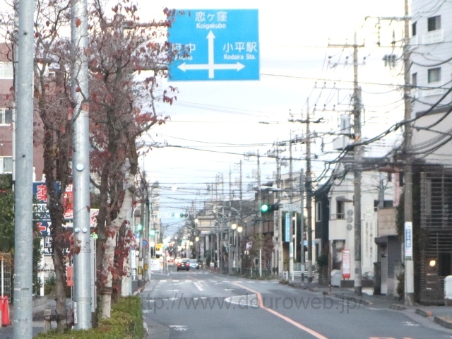 �{���ܒ��ڌ����_�̎ʐ^