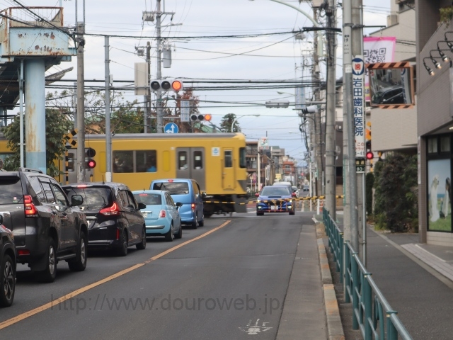 ���������ΐ����؂̎ʐ^