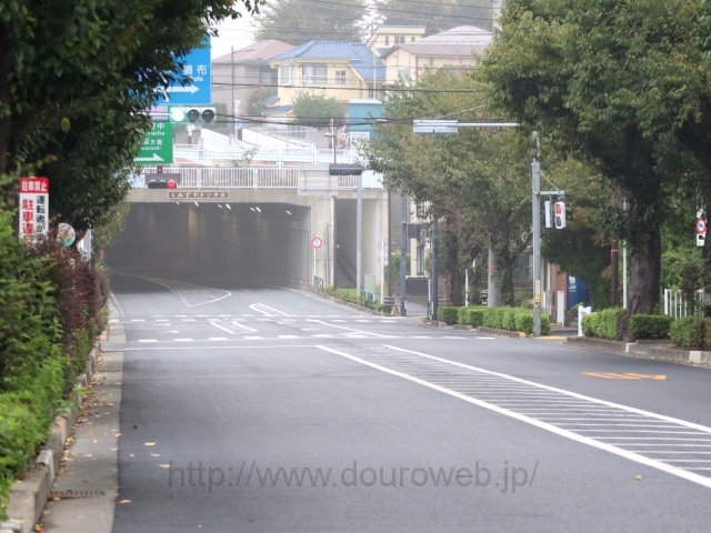 ���Ɓi��t���j�̎ʐ^