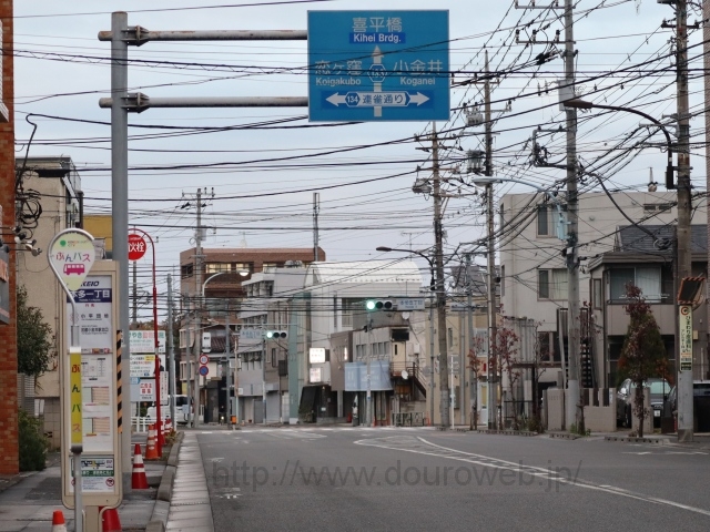 �{���ܒ��ڌ����_�̎ʐ^