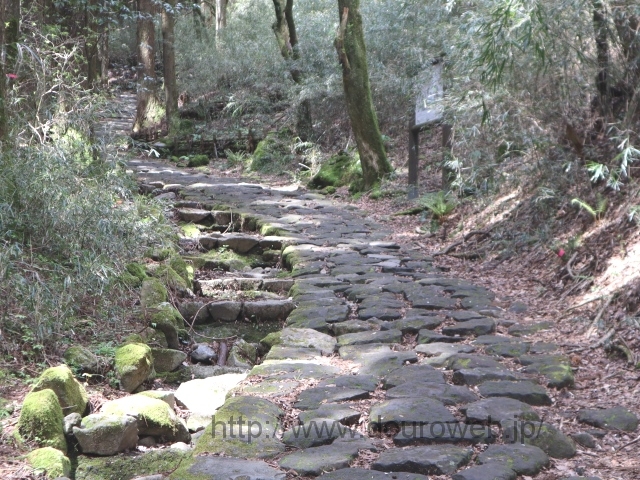 天ヶ石坂の写真