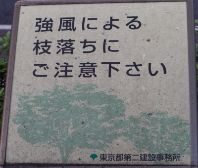 ���}���ӊ��N�̎ʐ^