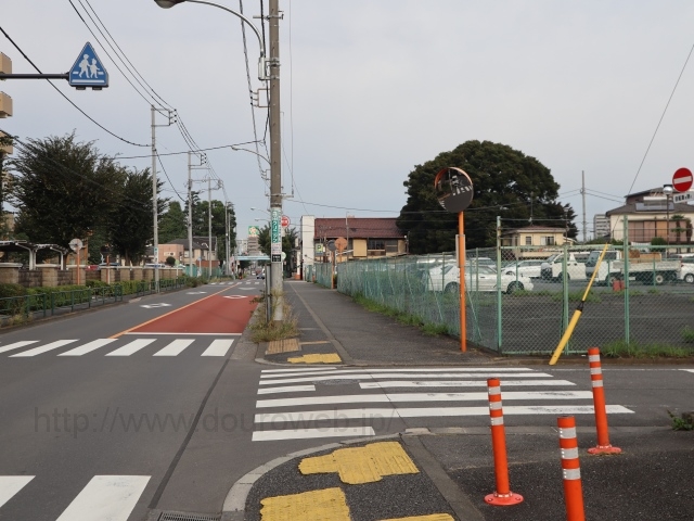 ���΍��E���{�i�H���j�̎ʐ^