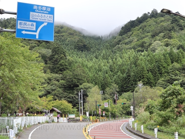 都民の森の写真